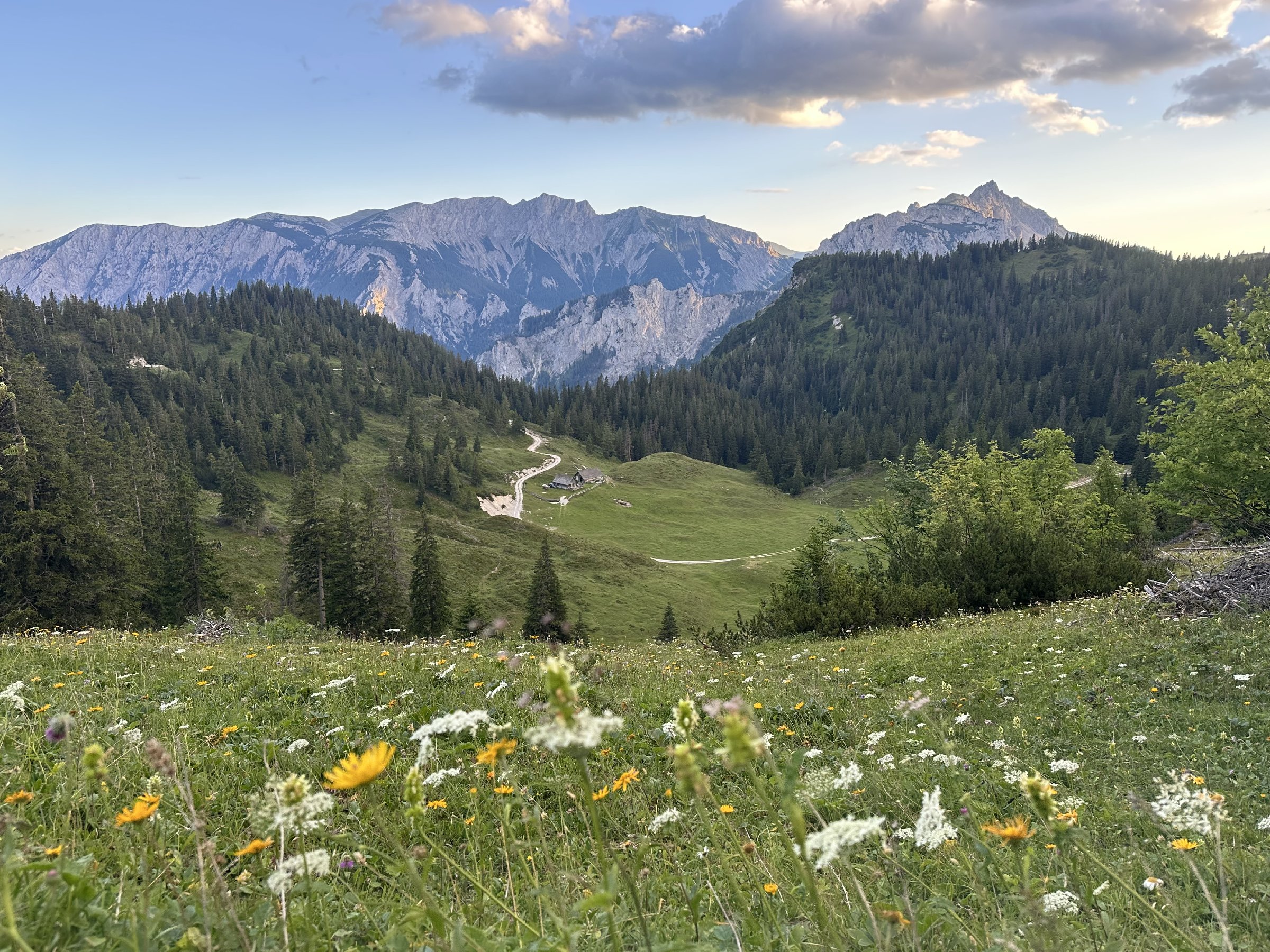 Alpy Hochschwab 07